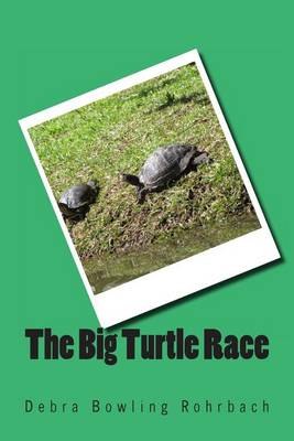 Book cover for The Big Turtle Race