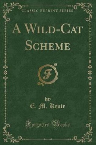 Cover of A Wild-Cat Scheme (Classic Reprint)