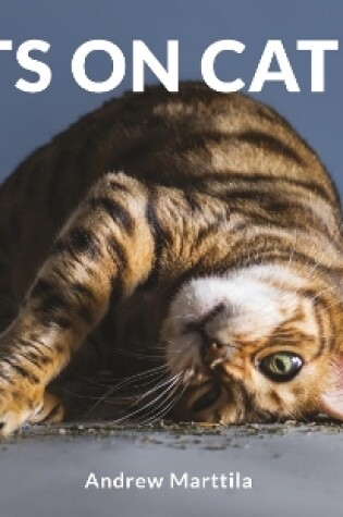 Cover of Cats on Catnip