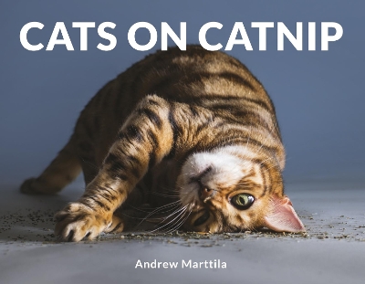 Book cover for Cats on Catnip