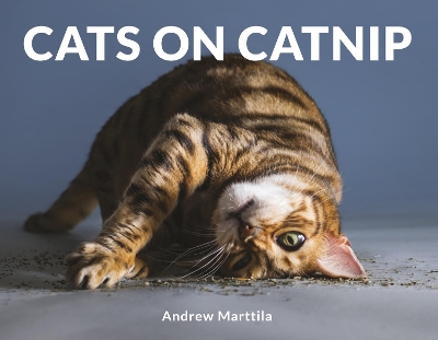 Cats on Catnip by Andrew Marttila