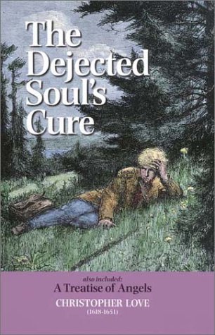 Book cover for The Dejected Soul's Cure