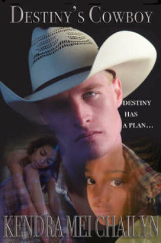Cover of Destiny's Cowboy