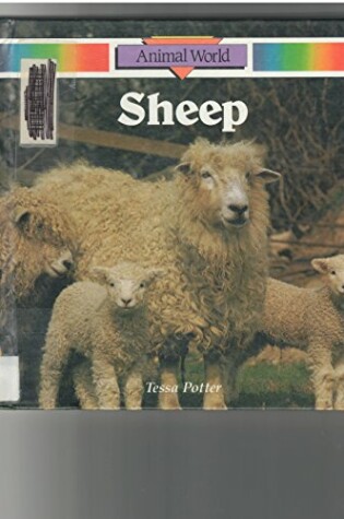 Cover of Sheep