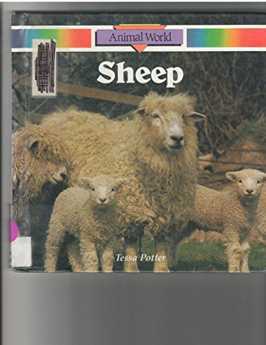 Book cover for Sheep