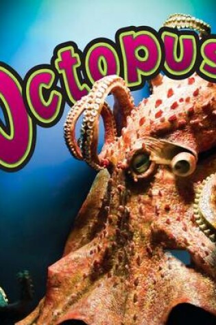 Cover of Octopus