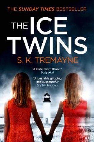 Cover of The Ice Twins