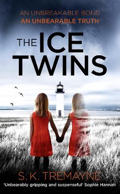 Book cover for The Ice Twins