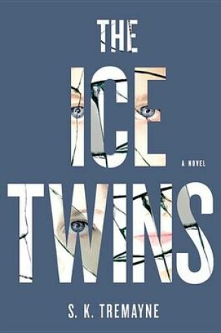 Cover of The Ice Twins