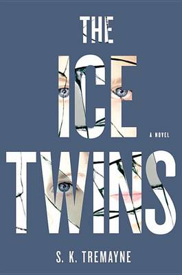 Book cover for The Ice Twins