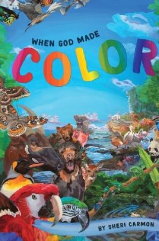 Cover of When God Made Color