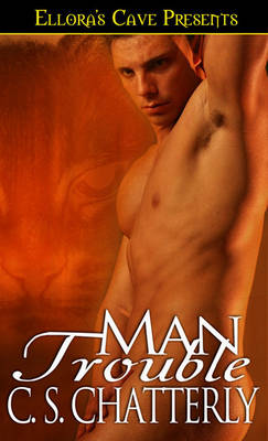 Book cover for Man Trouble