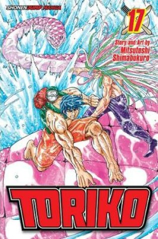 Cover of Toriko, Vol. 17