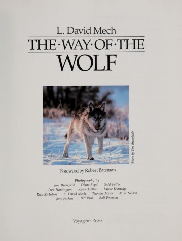 Book cover for The Way of the Wolf