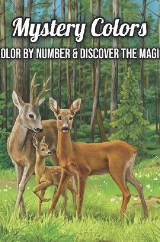Cover of Mystery Colors Color By Number & Discover The Magic