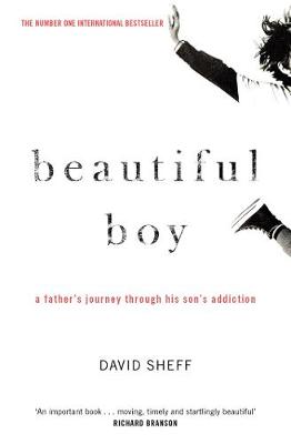 Book cover for Beautiful Boy