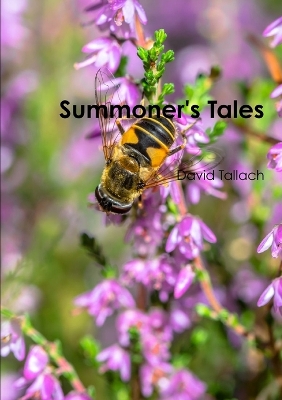 Book cover for Summoner's Tales