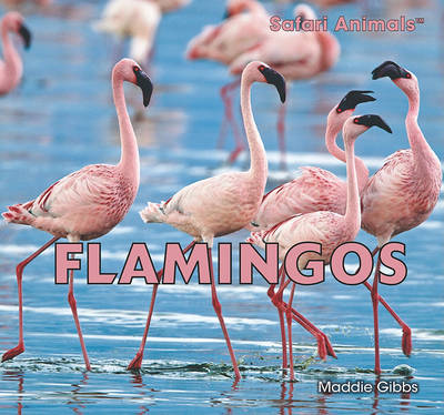 Cover of Flamingos