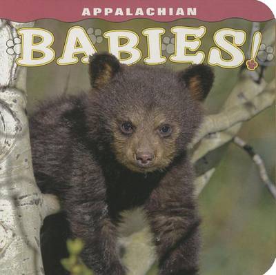 Book cover for Appalachian Babies!