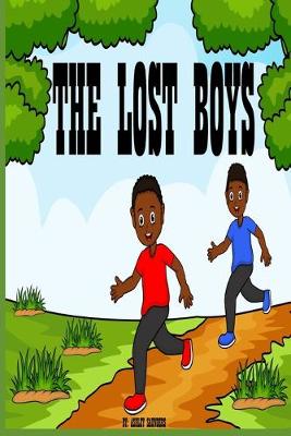 Book cover for The Lost Boys