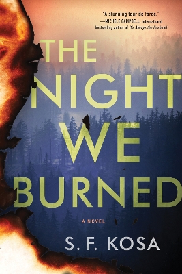 Book cover for The Night We Burned