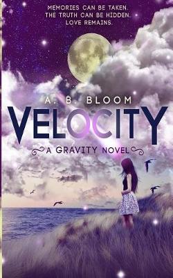 Cover of Velocity