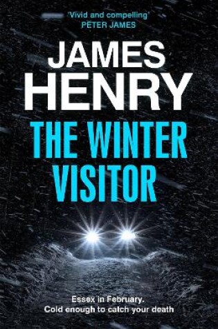 Cover of The Winter Visitor