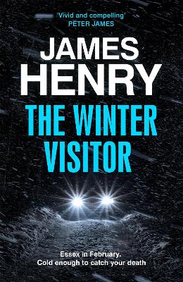 Book cover for The Winter Visitor