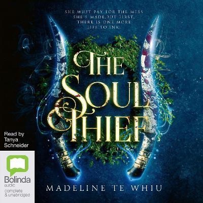 Cover of The Soul Thief