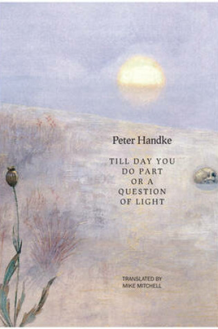 Cover of Till Day You Do Part or a Question of Light