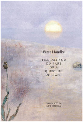 Book cover for Till Day You Do Part or a Question of Light