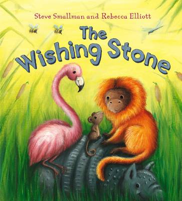 Book cover for The Wishing Stone