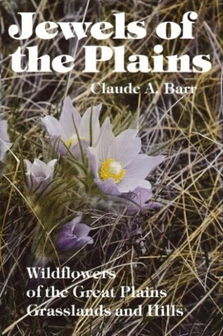 Cover of Jewels of Plains CB