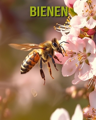 Book cover for Bienen