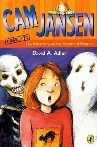 Cover of The Mystery at the Haunted House