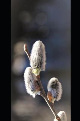 Book cover for Gray Pussy Willow in the Spring Plant Journal