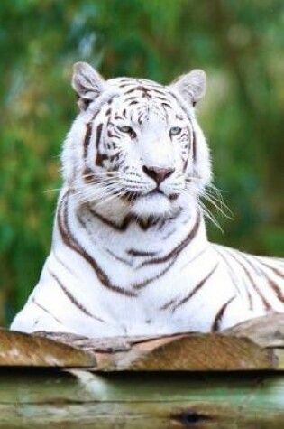 Cover of White Tiger Portrait Animal Journal