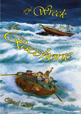 Book cover for The Wreck of the Racehorse