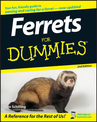 Book cover for Ferrets For Dummies