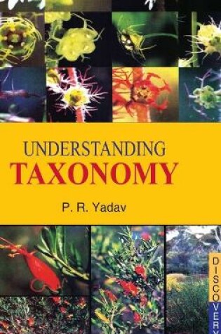 Cover of Understanding Taxonomy