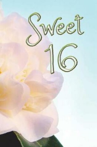 Cover of Sweet 16