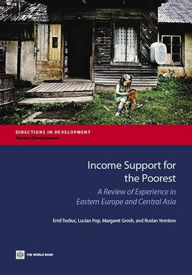 Book cover for Income support for the poorest