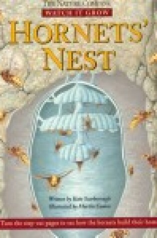 Cover of Hornet's Nest