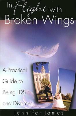 Book cover for In Flight with Broken Wings