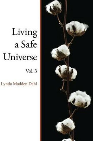 Cover of Living a Safe Universe, Vol. 3