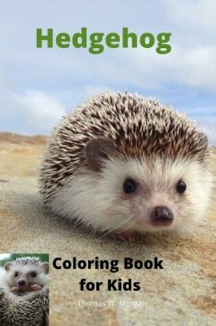 Cover of Hedgehog Coloring Book for Kids