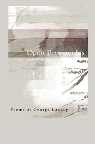 Cover of Open Between Us