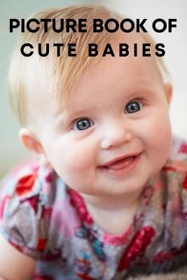 Book cover for The Picture Book of Cute Babies