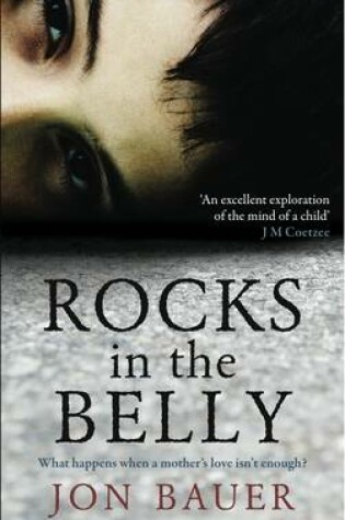 Cover of Rocks in the Belly