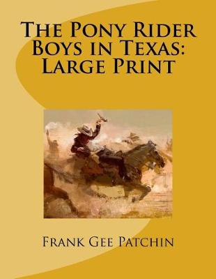Book cover for The Pony Rider Boys in Texas